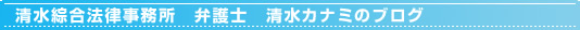 弁護士　清水カナミのブログ